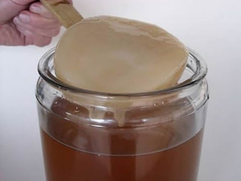 Kombucha-capelli-scoby-amazon