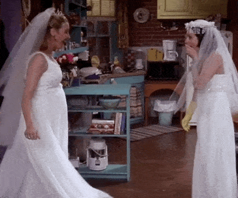 acconciature-velo-sposa-gif
