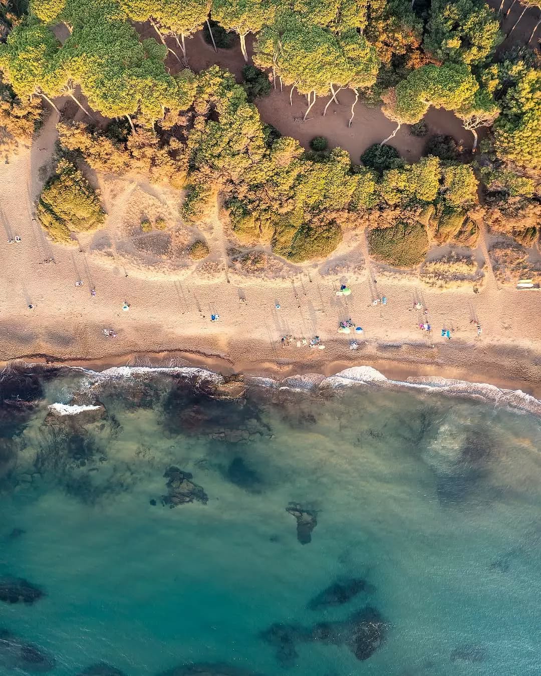 bandiere-blu-2025-piombino