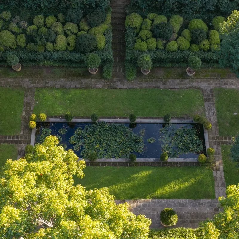 campi-tulipani-italia-ardea