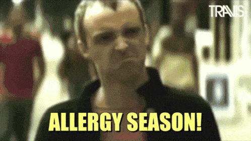 come-combattere-polline-a-casa-allergia