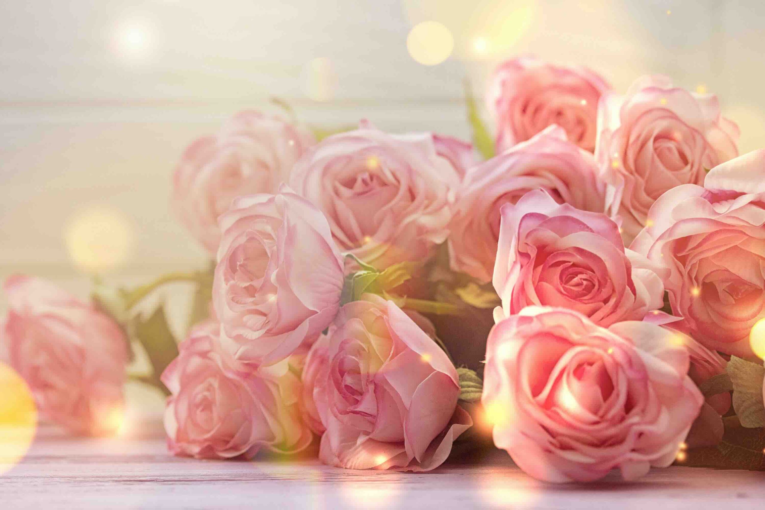 piccole-rose-rosa-roselline