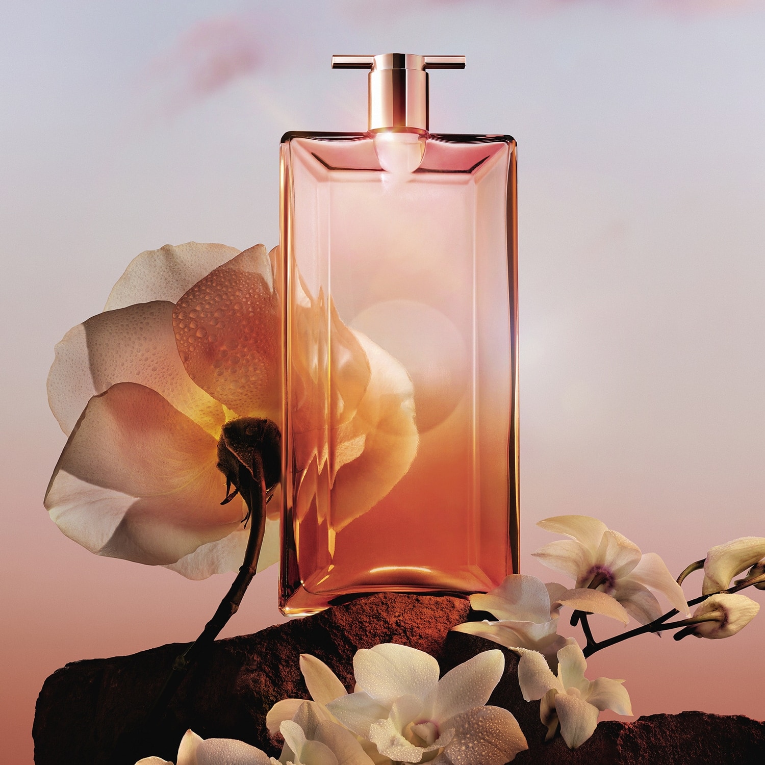 profumi-orchidea-lancome