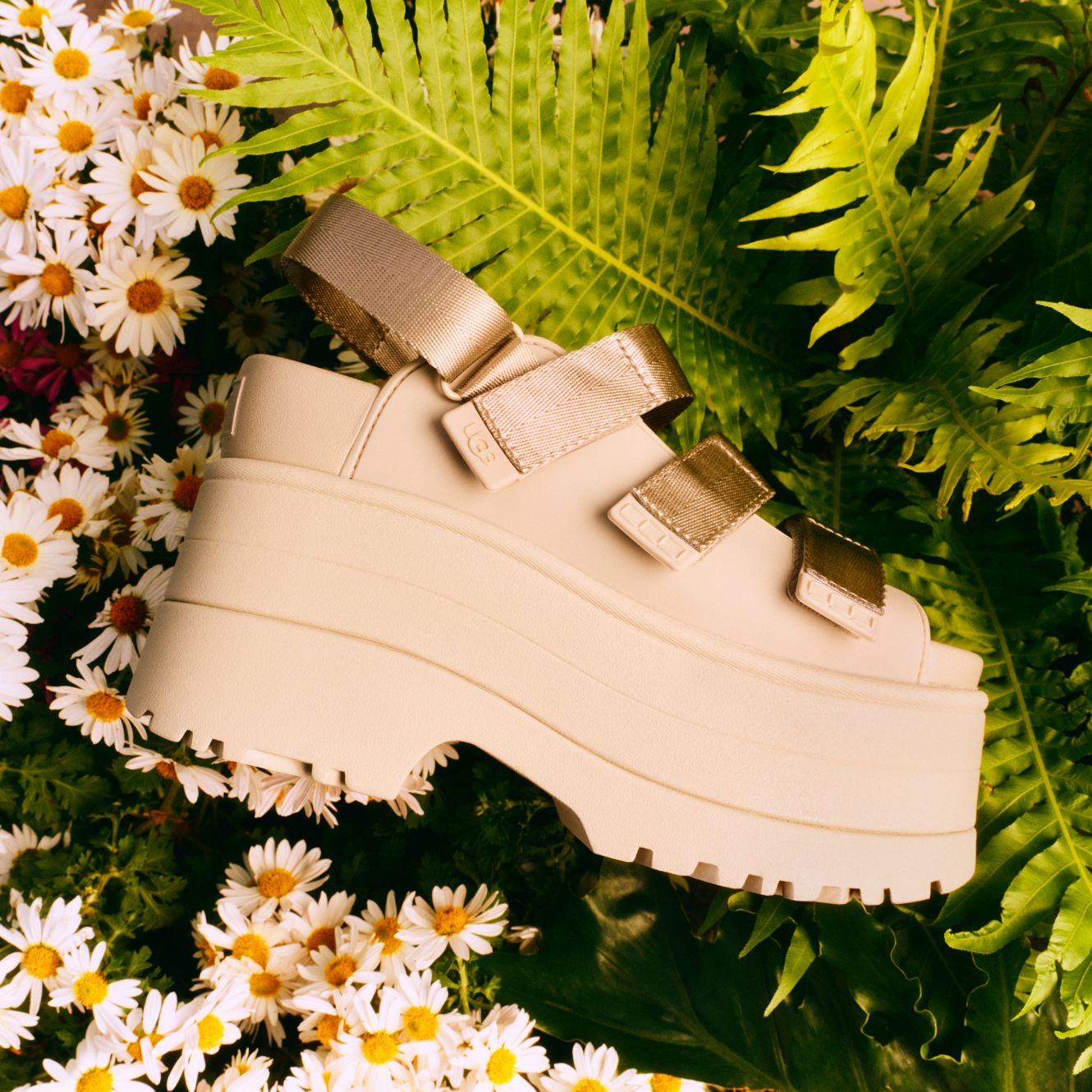 sandali-ugg-GoldenRise
