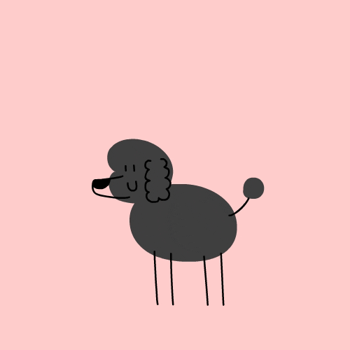 sandali-ugg-gif