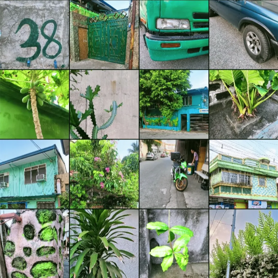 color-walk-_yulamartina