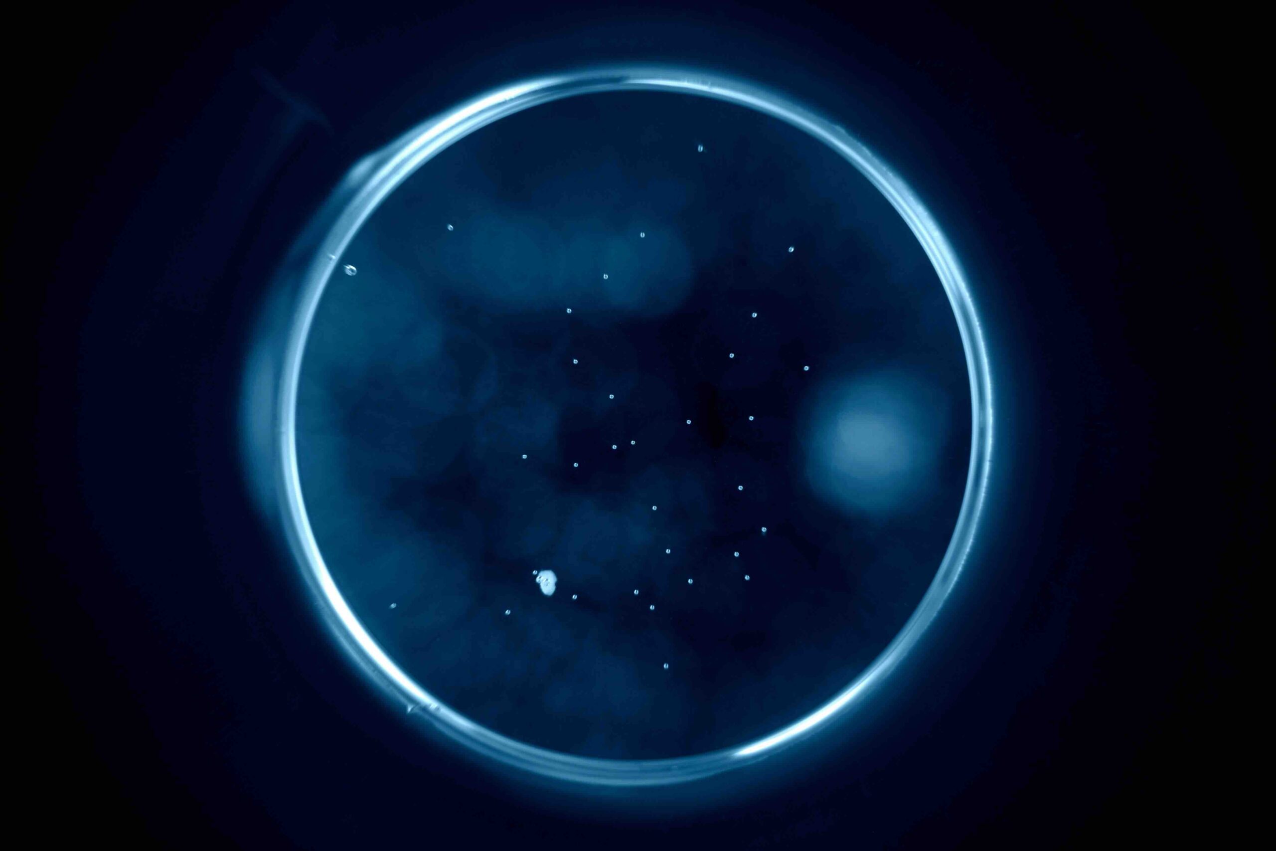 luna-nuova-blu-illustrazione