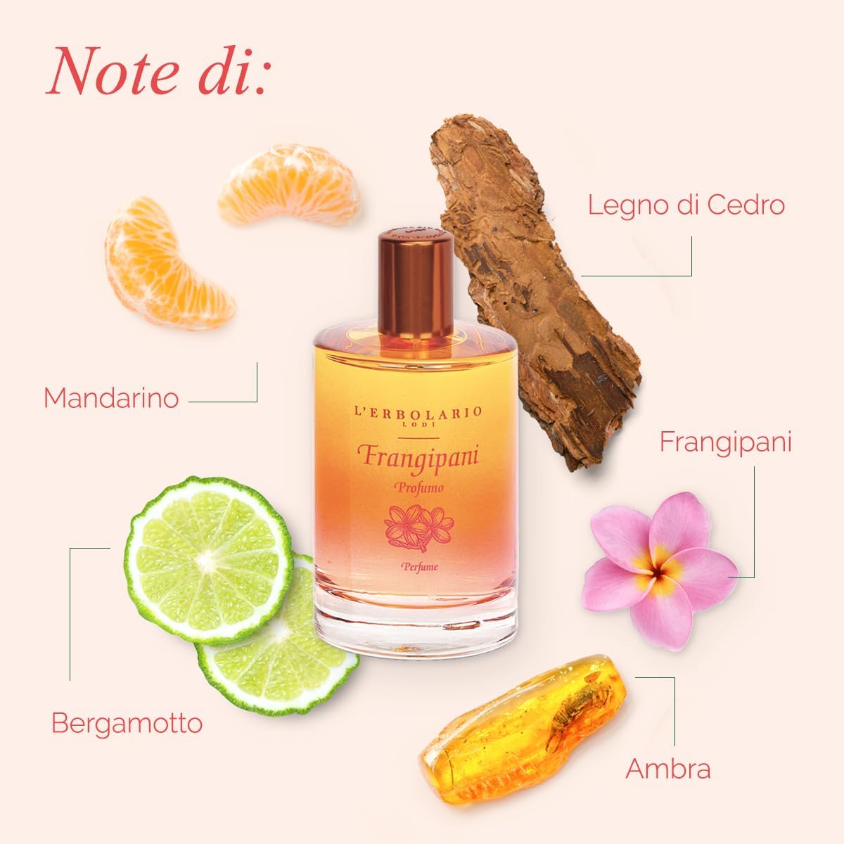 profumi-frangipani-erbolario