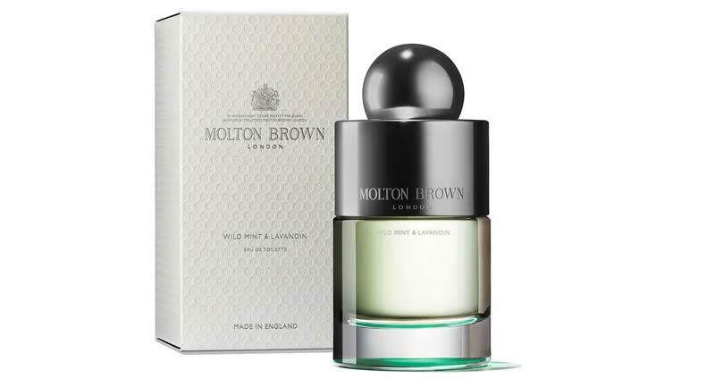 profumi-menta-molton