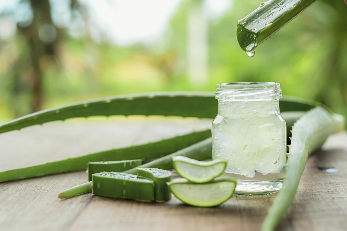 cliomakeup-aloe-vera-copertina