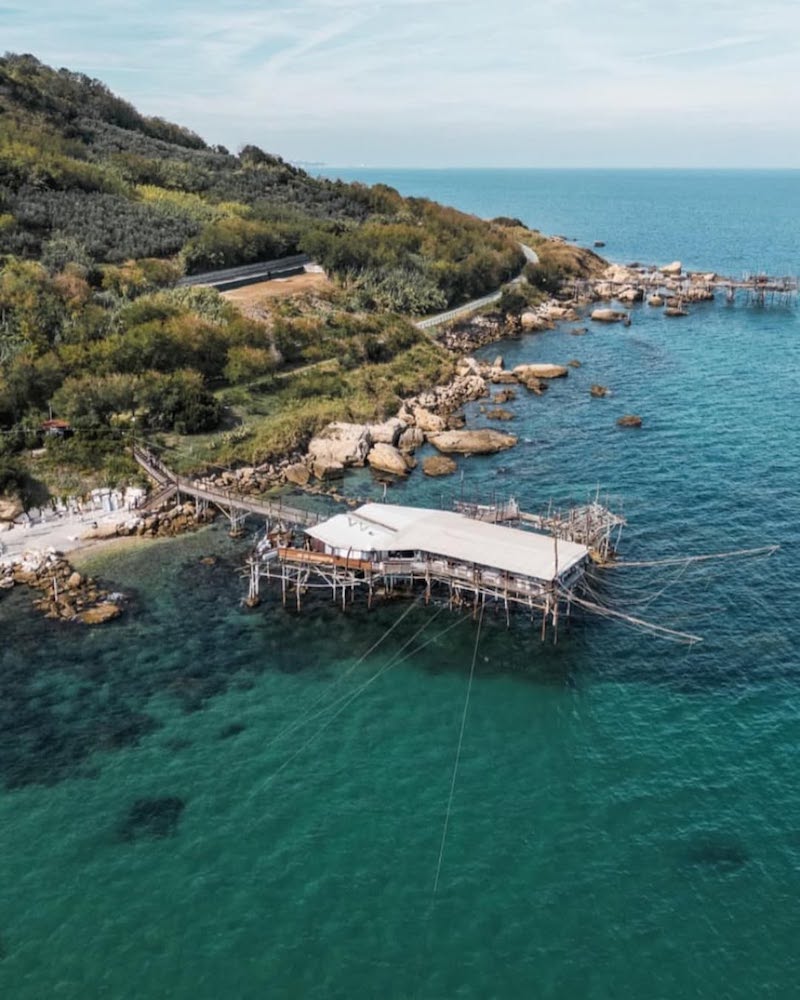 dove-mangiare-sull-acqua-cavalluccio