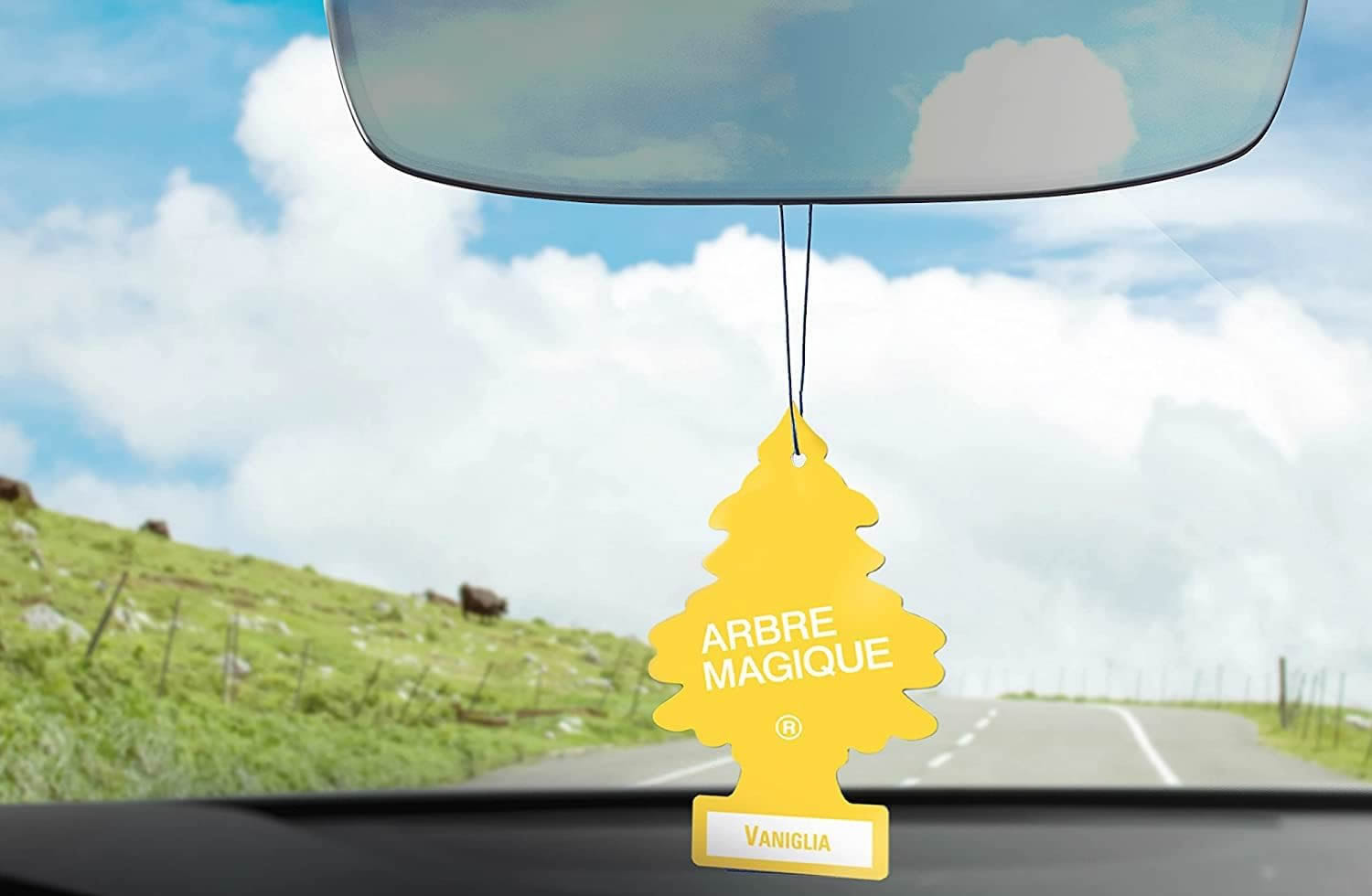 come-avere-auto-profumata-arbre