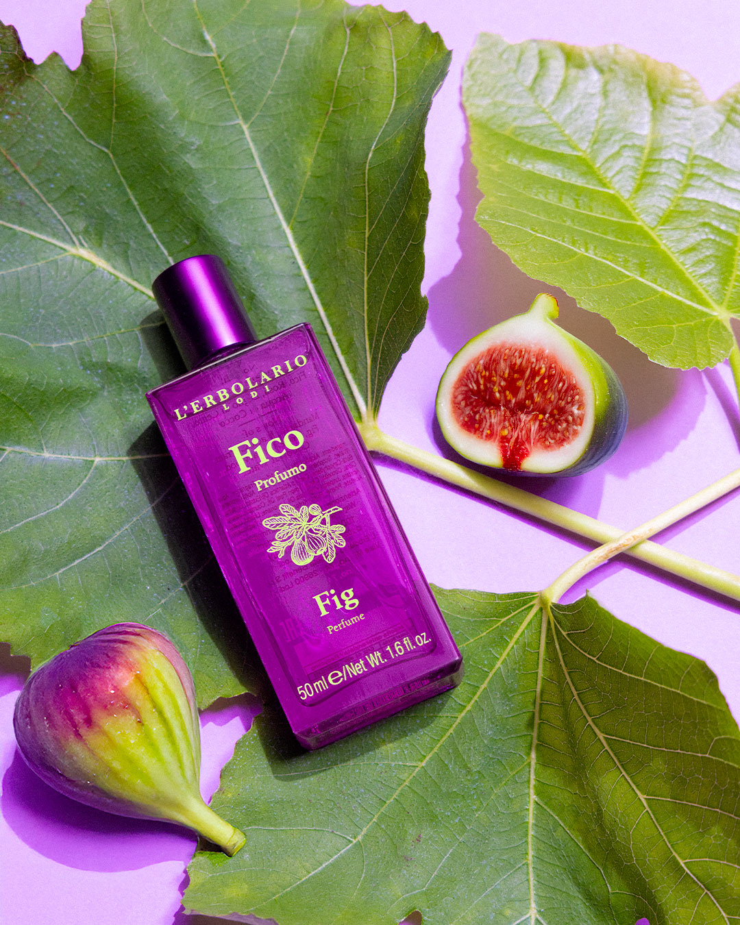 Perfumos econômicos-erolarium