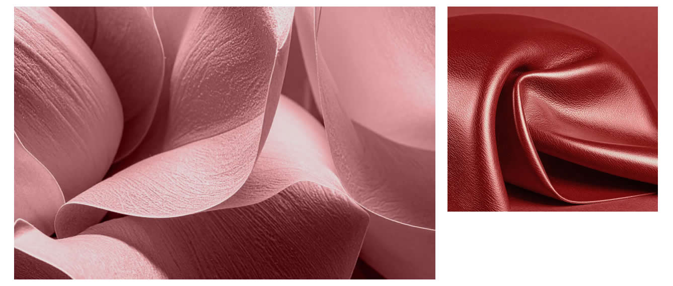 Colori-pantone-primavera-estate-2026-rosa