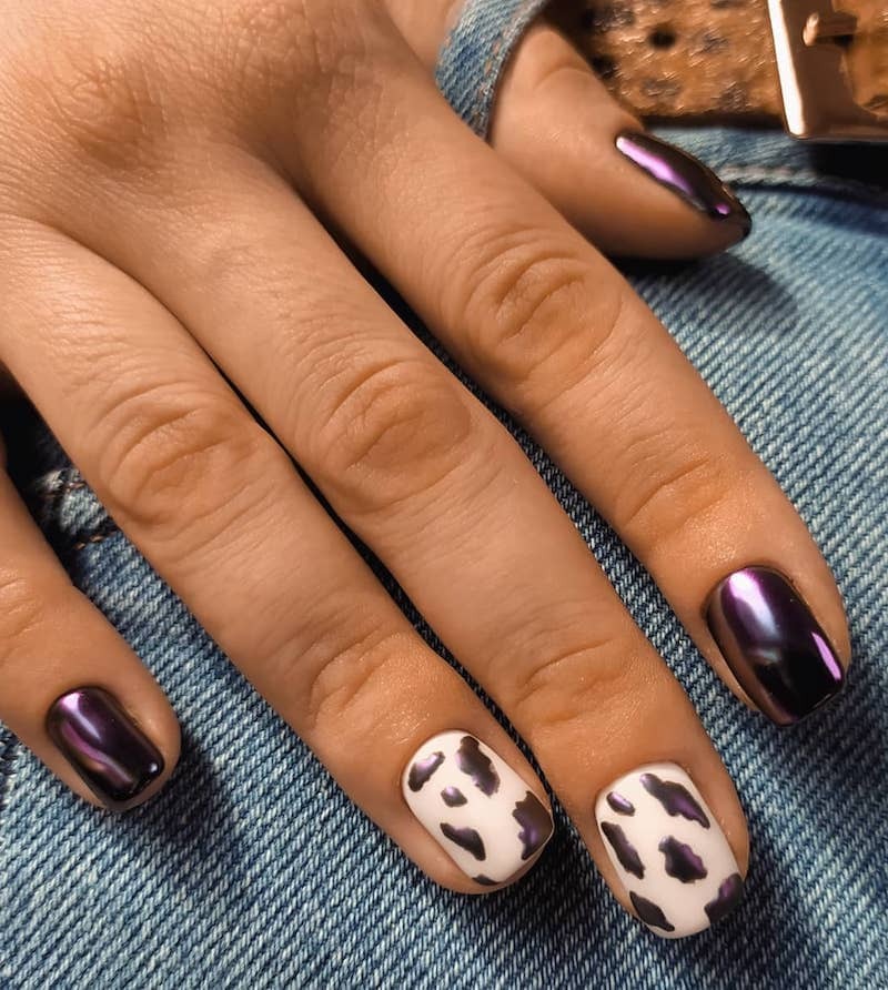 cow-nails-viola