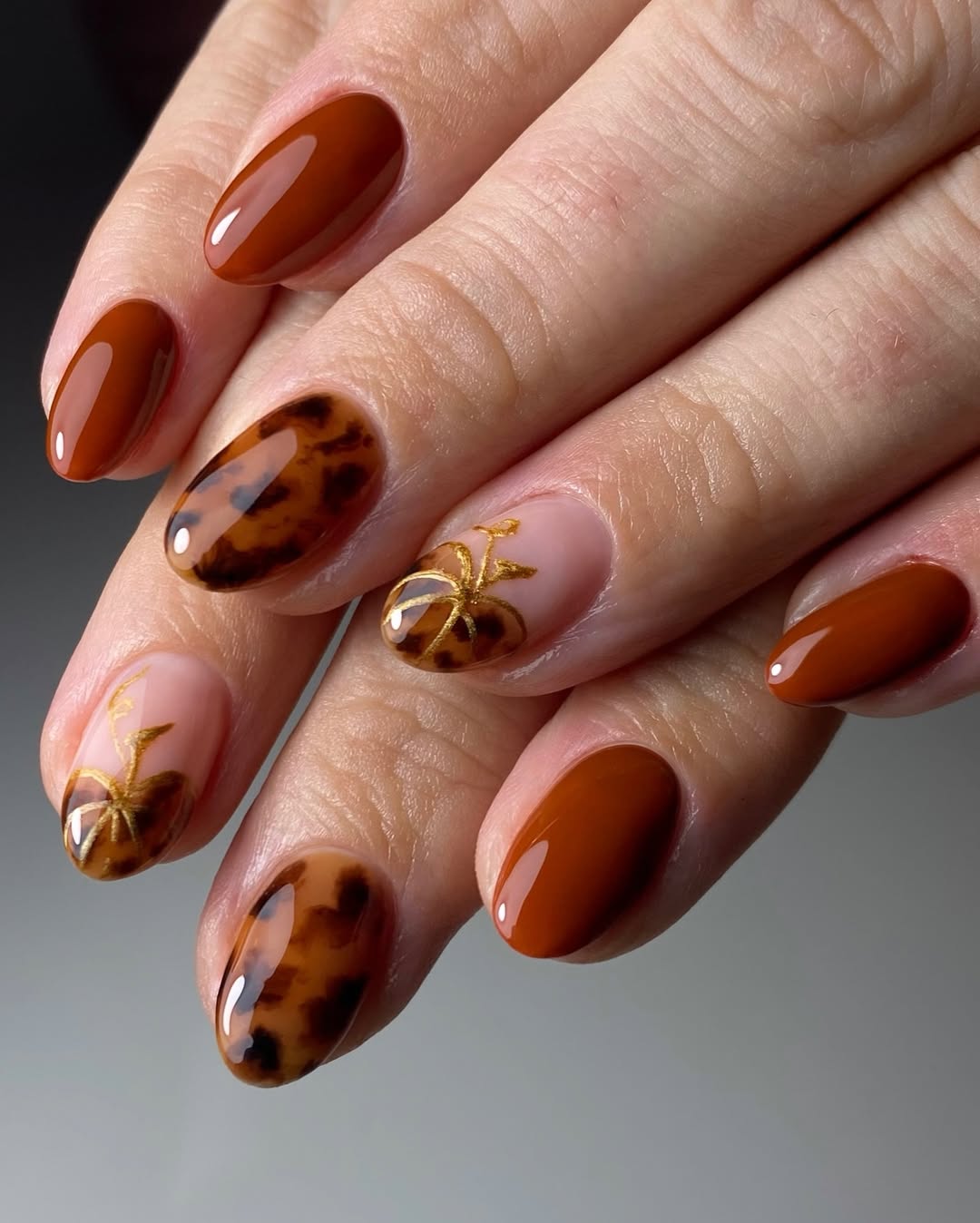 smalto-toasted-pumpkin-tartarugato