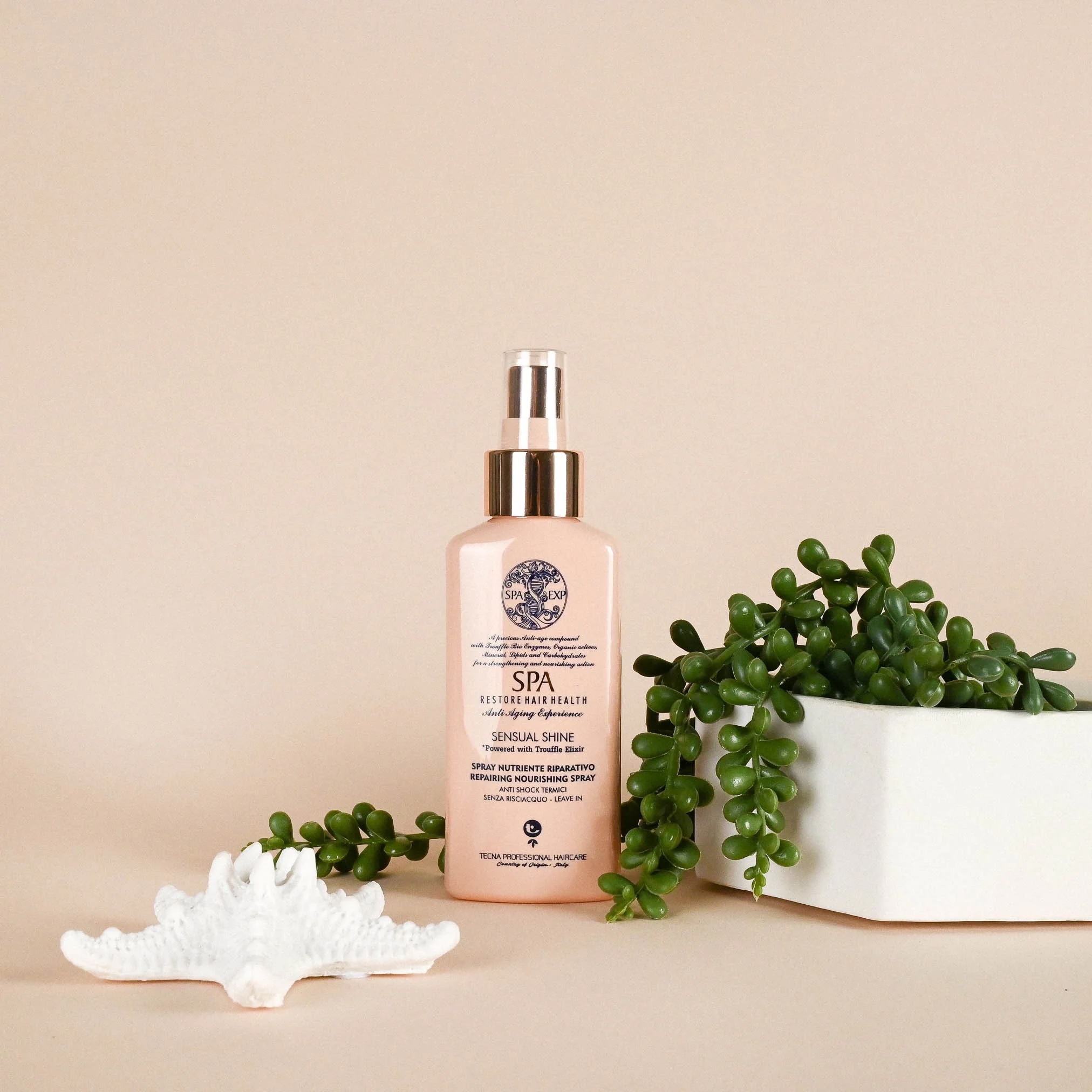 top-team-settembre-2025-tecna