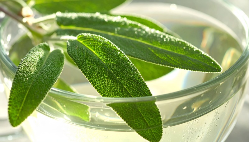 maschere-capelli-olio-cocco-salvia