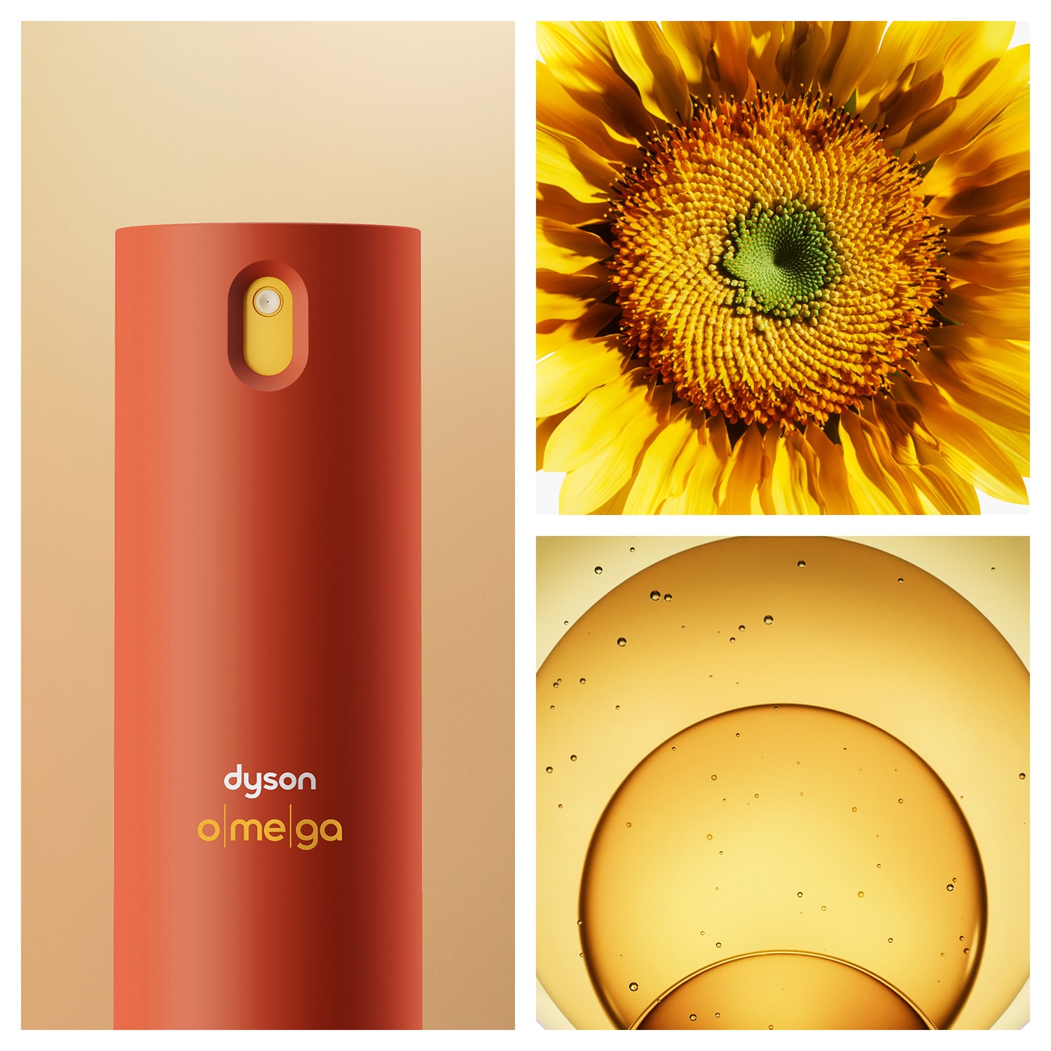 balsamo-senza-risciacquo-dyson