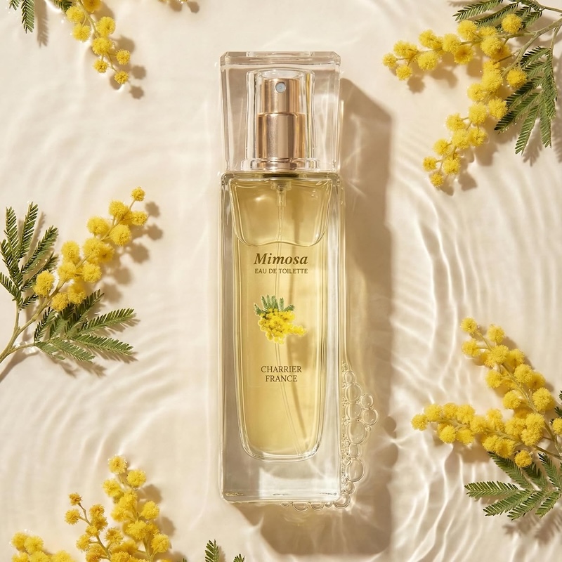 cliomakeup-profumi-mimosa-charrier