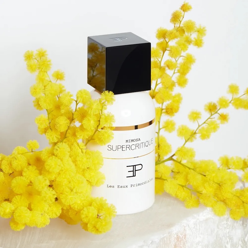 cliomakeup-profumi-mimosa-les-eaux-primordiales