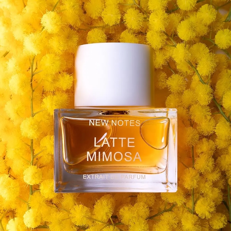 cliomakeup-profumi-mimosa-new-notes
