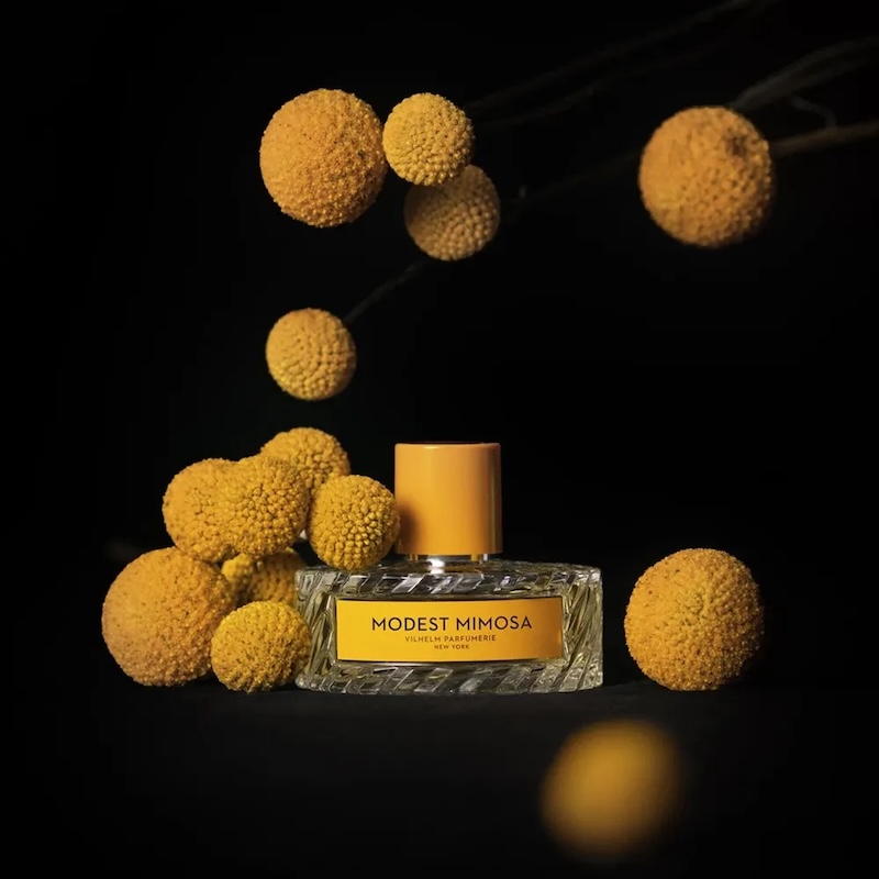cliomakeup-profumi-mimosa-vilhelm