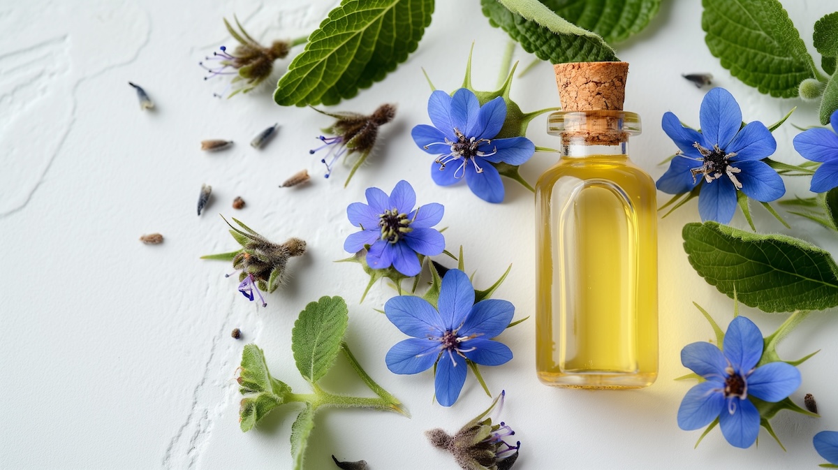 cliomakeup-olio-borragine-cover