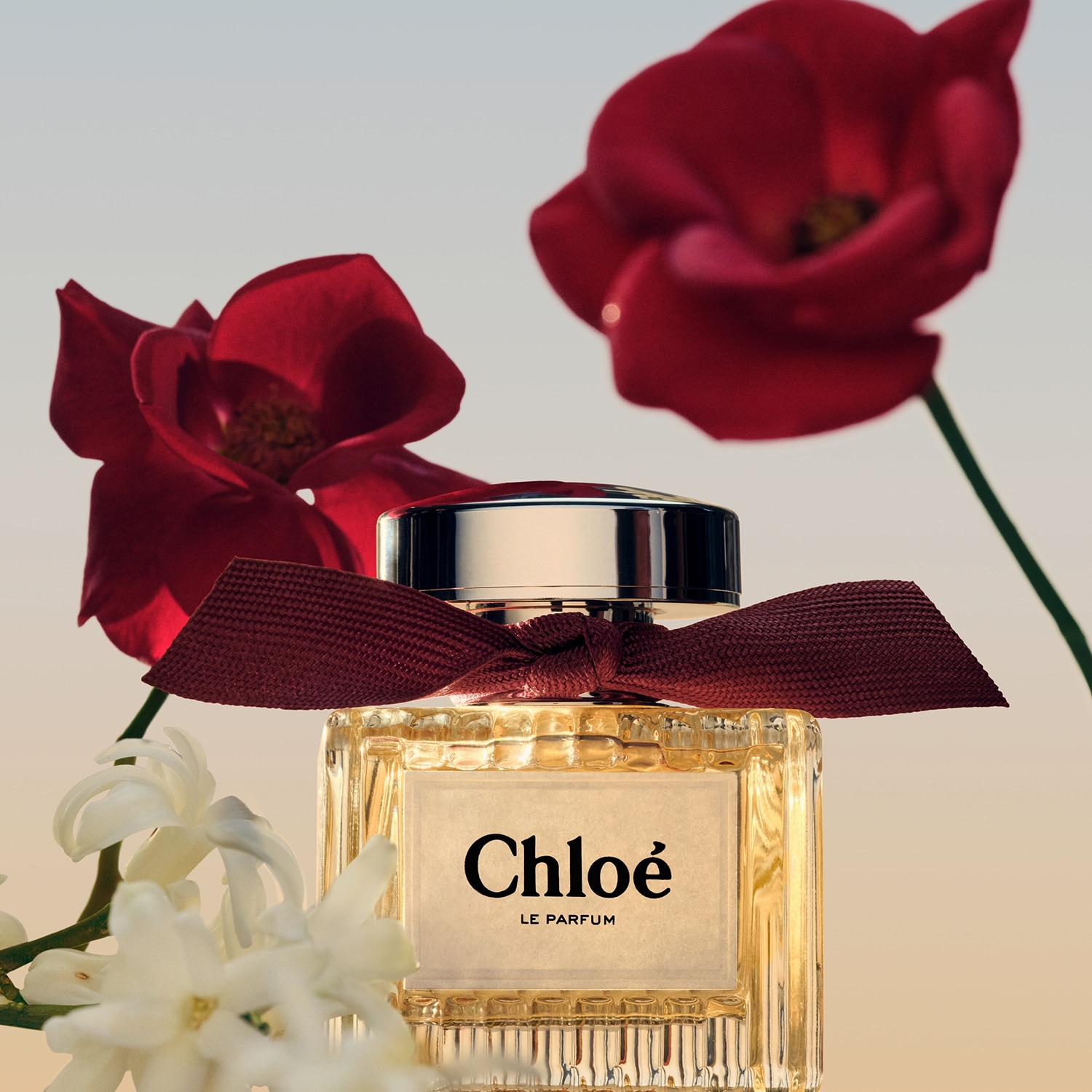 cliomakeup-profumi-fiori-arancio-chloe