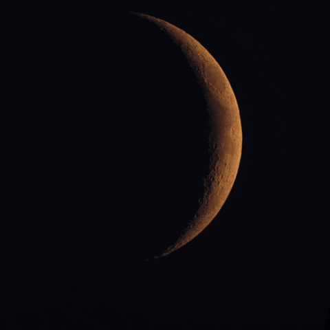 luna-nuova