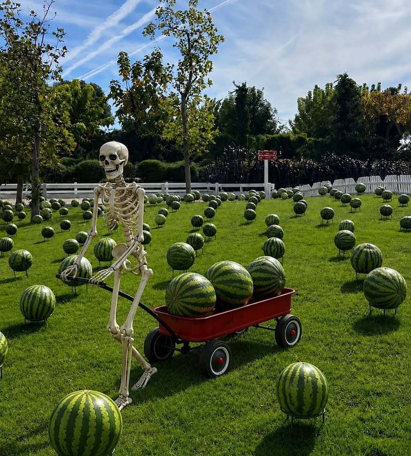summerween-giardino-angurie