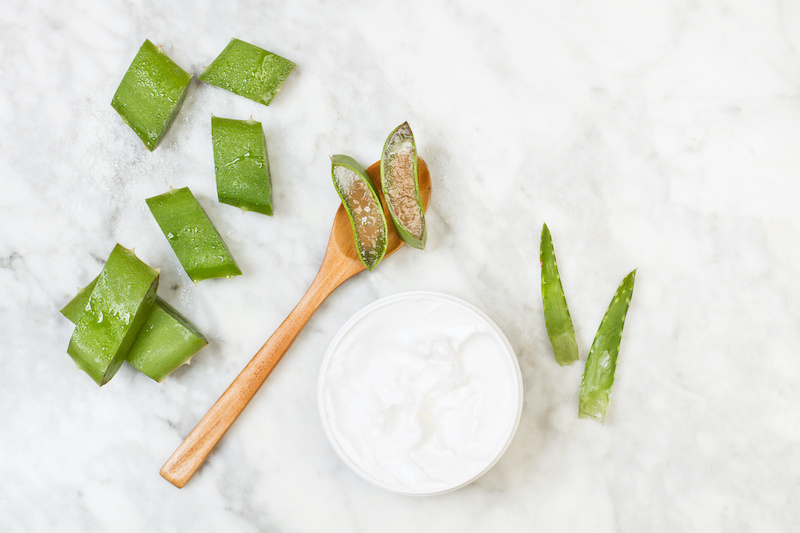 crema-aloe-vera-pianta