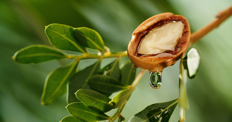 impacchi-capelli-disidratati-sole-argan